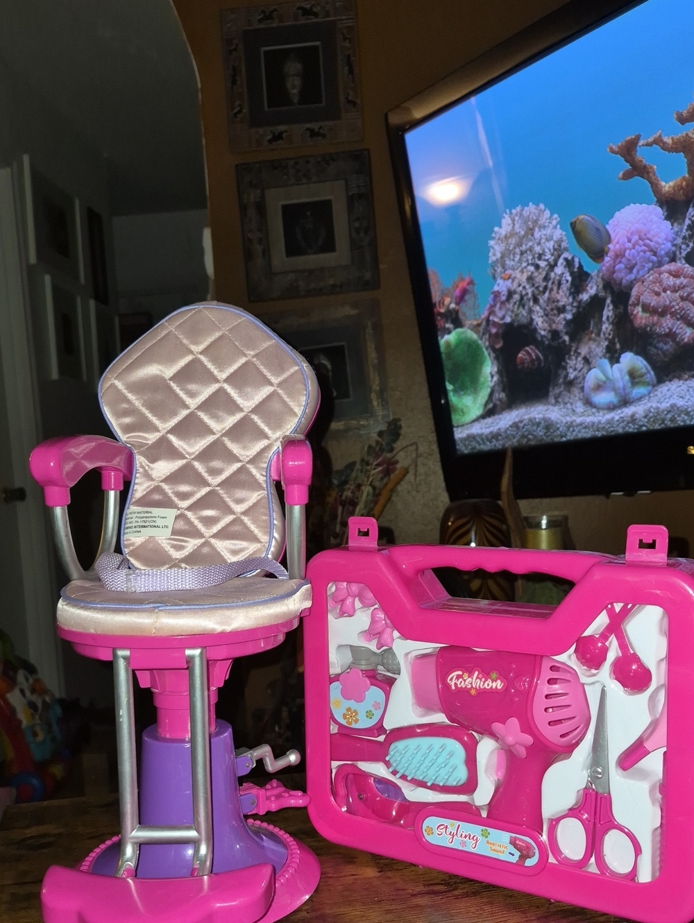 Salon Chair and Styling Kit